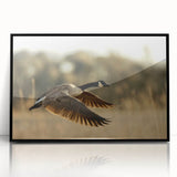 Large abstract wall art featuring Cape Hatteras in muted blue tones, framed in black acrylic.