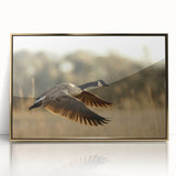 Mid-century modernist style large art print of Cape Hatteras, featuring muted blue and gold tones on framed acrylic.