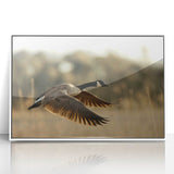 Acrylic print of Cape Hatteras scenery in art deco style with soft blue and white tones, ideal for modern nursery wall art.