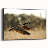 Black and white framed canvas of Cape Hatteras landscape, ideal for bedroom wall art.