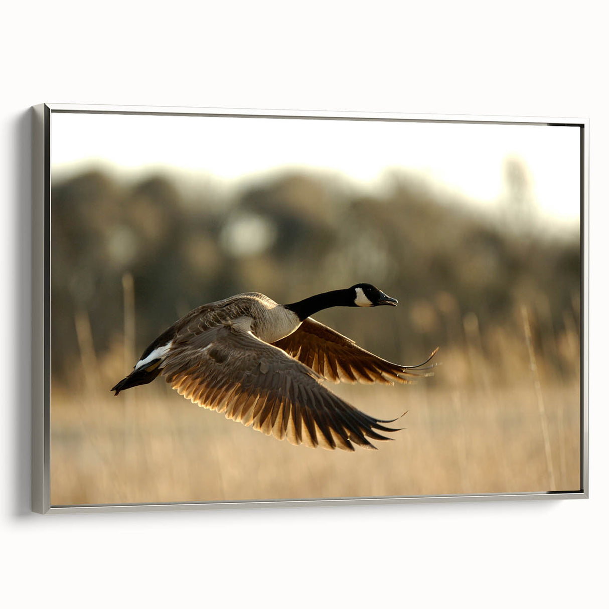 Framed canvas featuring a vintage-style landscape of Cape Hatteras with colorful art on a black background.