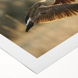 Art deco poster of Cape Hatteras with muted blue and beige tones on rolled canvas, suitable for dining room wall art.