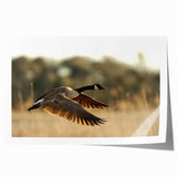 Rolled print of Cape Hatteras with soft blue and beige tones, ideal for art wall dining room.