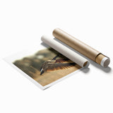 Rolled print of Cape Hatteras with muted green and blue tones, suitable as large living room wall art.