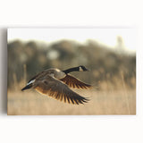 Black and white photograph of Cape Hatteras lighthouse on stretched canvas, ideal for kitchen wall art.