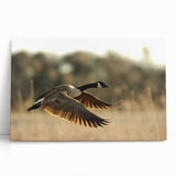 Black and white photo of Cape Hatteras lighthouse on stretched canvas, ideal for kitchen wall art.