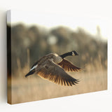 Side view of a stretched canvas featuring Cape Hatteras, North Carolina scenery, ideal for kitchen wall art.