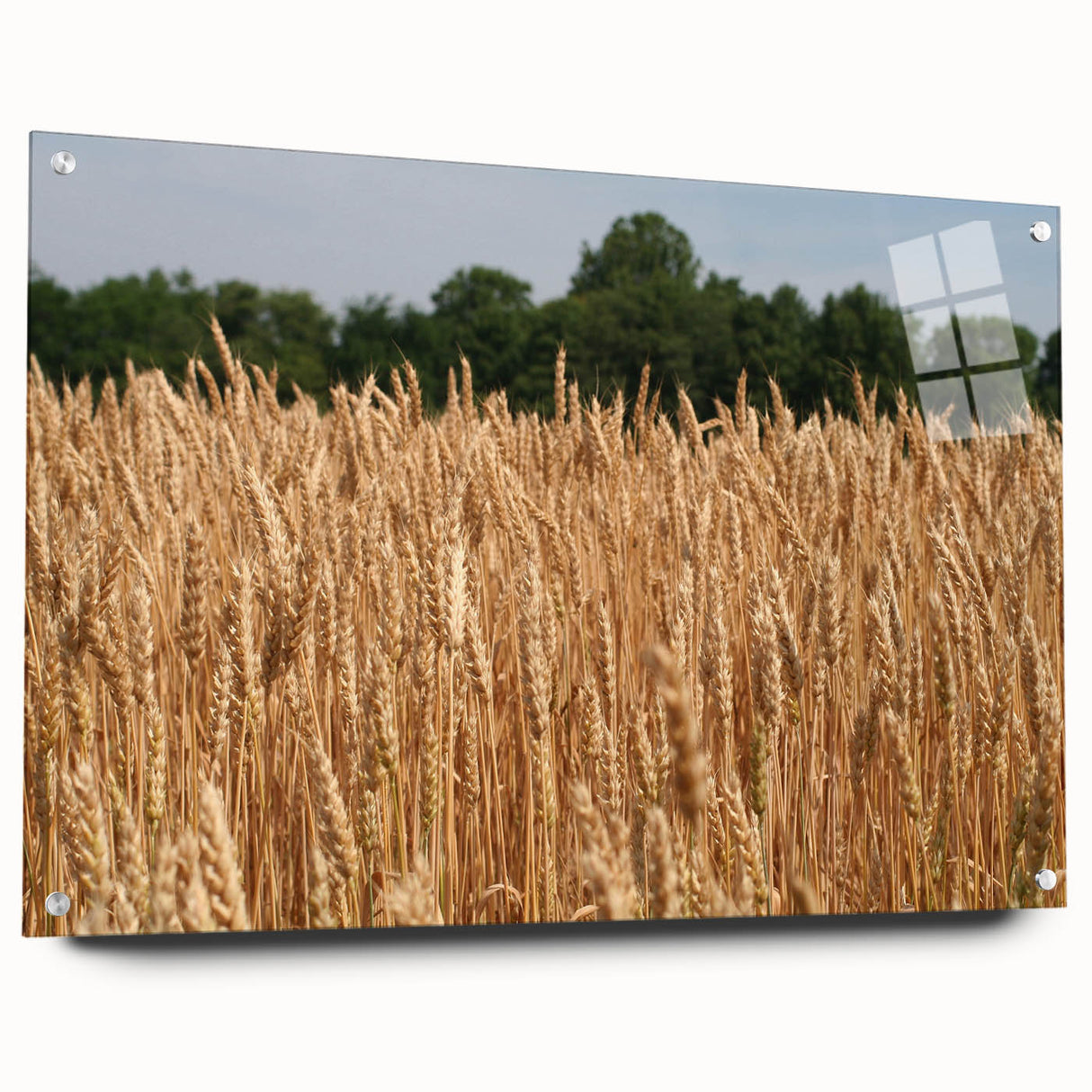 Acrylic print of a North Dakota landscape in muted earth tones, suitable for dining room decor.