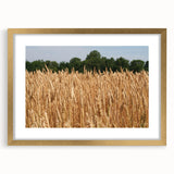 Extra large wall art depicting a textured abstract scene in earth tones, framed in gold, ideal for living room ambiance.