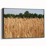 Black and white framed canvas of North Dakota landscape, ideal for bedroom wall decor.