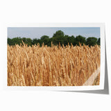 Rolled print of North Dakota scenery with muted earth tones, ideal for art wall dining room.