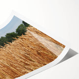 Extra large rolled print of line art flowers in black and white, ideal for large living room wall art.