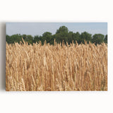 Black and white photograph of a North Dakota landscape on stretched canvas, suitable as large kitchen wall art.