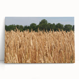 Black and white photograph of North Dakota scenery on stretched canvas, suitable as kitchen wall art or bedroom decor.