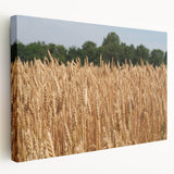 North Dakota landscape on large stretched canvas, featuring muted earth tones, ideal for kitchen wall art.
