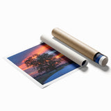 Extra large rolled print of Oklahoma scenery with vibrant floral elements, ideal for classy bathroom wall art.