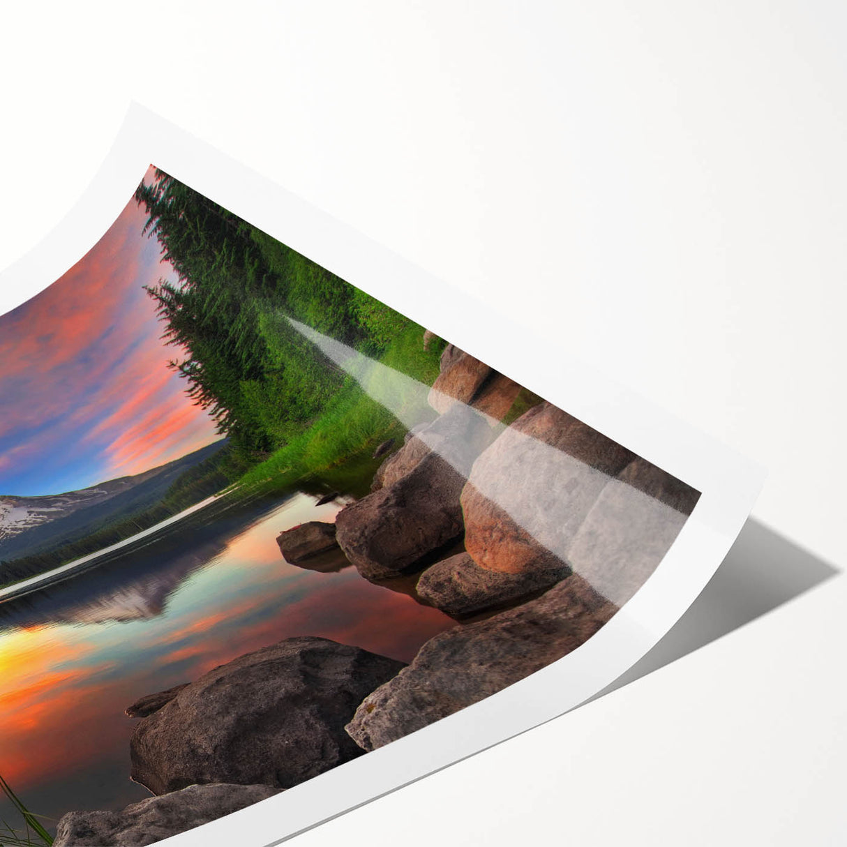 Extra large wall art featuring line art flowers on a rolled print, set against Mount Hood, Oregon.