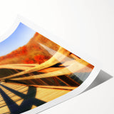 Extra large wall art featuring line art flowers in black on a white background, rolled print format.