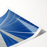 Extra large wall art featuring line art flowers, in soft pastel shades, printed on rolled canvas.