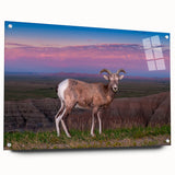 Acrylic print of South Dakota Badlands with vibrant earth tones, ideal for bedroom or dining room decor.