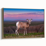 Framed canvas depicting the Badlands in South Dakota with a vintage poster style and black and gold color scheme.