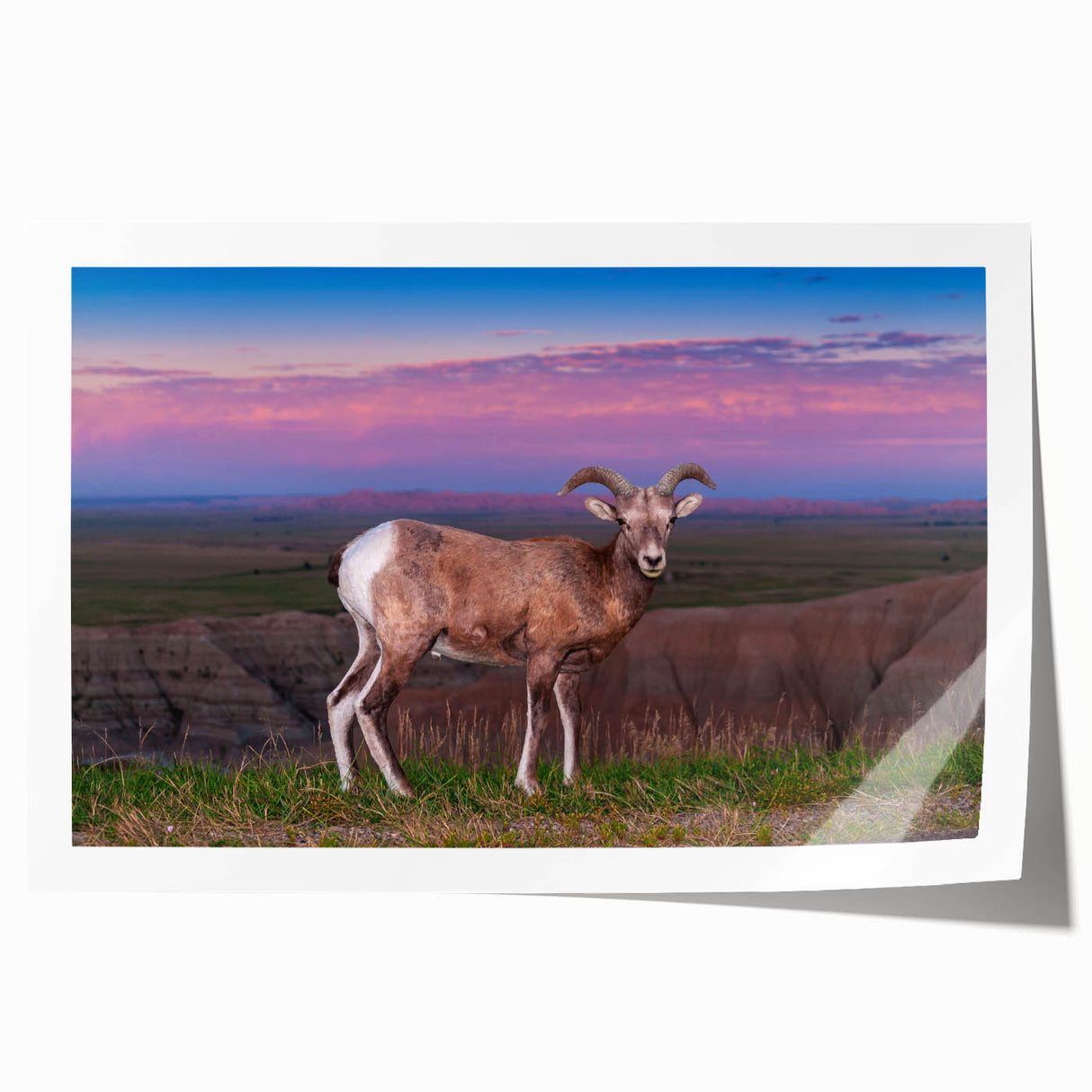 Rolled print of South Dakota Badlands scenery with subdued earth tones, ideal for art wall dining room.
