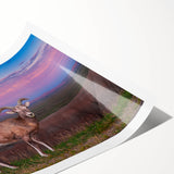 Extra large wall art featuring a detailed line art of flowers, printed on rolled canvas.