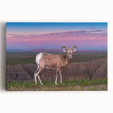 Black and white stretched canvas of South Dakota Badlands, ideal for kitchen wall art.