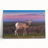 Black and white stretched canvas of South Dakota Badlands, ideal for kitchen wall art or bedroom decor.