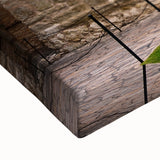 Large art of a black and white San Antonio landscape on stretched canvas, ideal for bedroom wall decor.