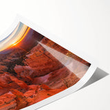 Extra large wall art featuring line art flowers in muted earth tones on a rolled print, suitable for large living room decor.