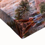 Black and white stretched canvas featuring a detailed landscape of Capitol Reef, Utah, ideal for bedroom wall art.