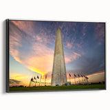 Black and white wall art featuring the Washington DC monument on framed canvas.