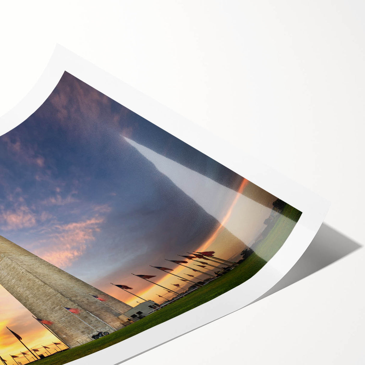 Extra large rolled print of Washington DC monument scene with line art flowers in muted colors.