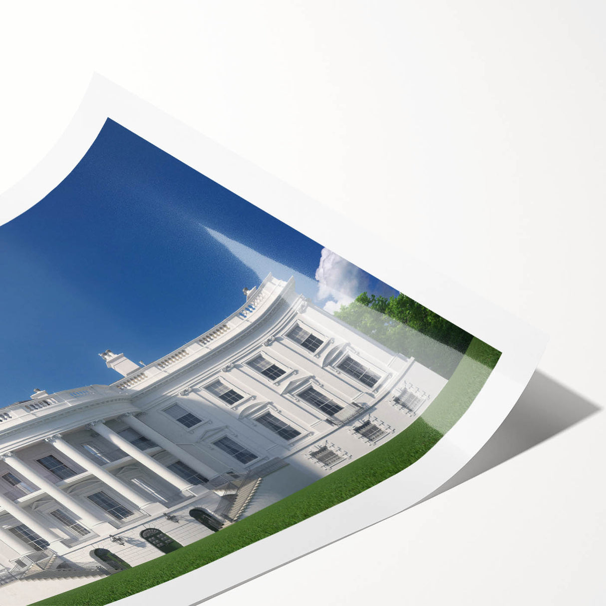 Extra large wall art featuring line art flowers overlaid on a muted image of the Washington DC White House.