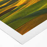 Art deco poster depicting the rolling hills of Palouse, Washington in soft green and brown tones on rolled canvas.