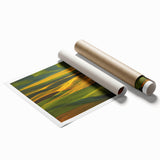 Extra large rolled print of Palouse, Washington scenery, featuring lush green fields under a clear sky.