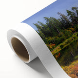 Art deco poster of Washington scenery on rolled canvas, featuring pastel shades, ideal for nursery wall art.