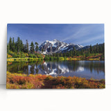 Black and white stretched canvas of Washington scenery, ideal for kitchen wall art or bedroom ambiance.