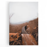 Black and white large art of trees in fall on stretched canvas, ideal for kitchen wall art.