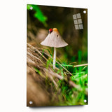 Large abstract wall art depicting spring season colors on acrylic glass, ideal for bedroom or dining room decor.