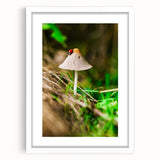 Abstract art print of spring season in soft green and yellow hues, framed in white, suitable for dining room decor.