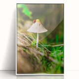 Acrylic print of a spring-themed art deco poster with pastel colors, framed in white, suitable for nursery wall art.