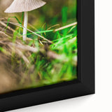 Extra large framed canvas featuring textured, colorful art of spring trees on a black background.