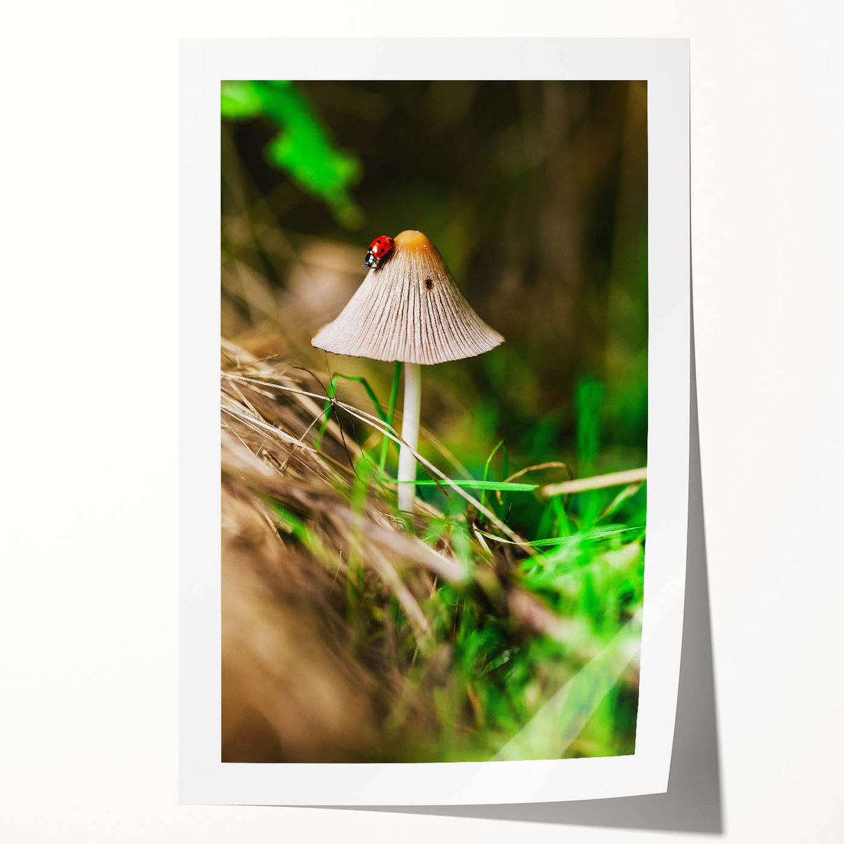 Rolled canvas print depicting spring flowers in pastel shades, suitable for dining room or bathroom decor.