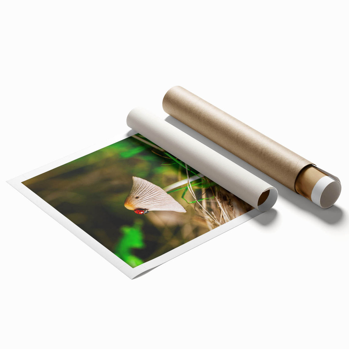Extra large rolled print featuring a spring floral scene in soft pastel shades.