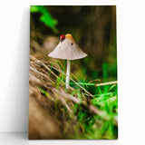 Black and white abstract depiction of spring on a large stretched canvas, ideal for kitchen wall art or bedroom ambiance.