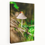Spring-themed large art on stretched canvas featuring blossoming trees in pastel shades, ideal for kitchen wall decor.