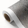 NASA Space Missions Wall Art - Moon Crater Exploration Canvas
