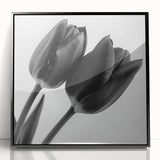 Framed acrylic artwork showcasing a vibrant floral and botanical design with a sleek black border, ideal for modern home decor. Perfect for adding a touch of nature-inspired elegance to any space.